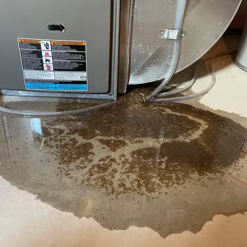 Appliance Leak Cleanup in Breckinridge County, KY